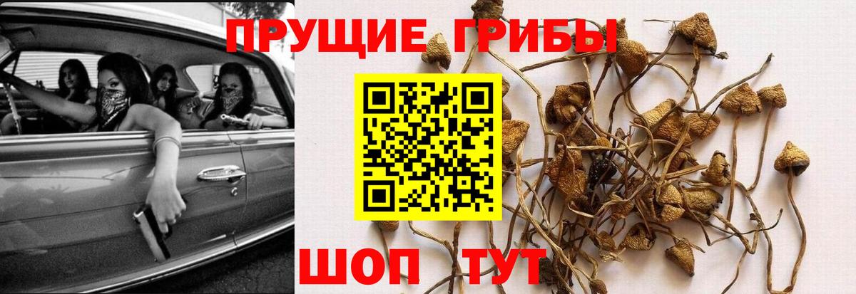 Галлюциногенные грибы ЛСД Верхний Уфалей